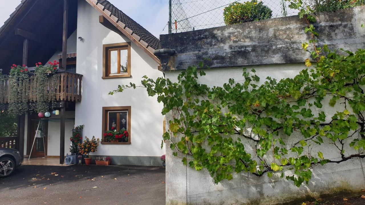 Ferienwohnung Auf Dem Bueckle Kleines Wiesental Eksteriør billede