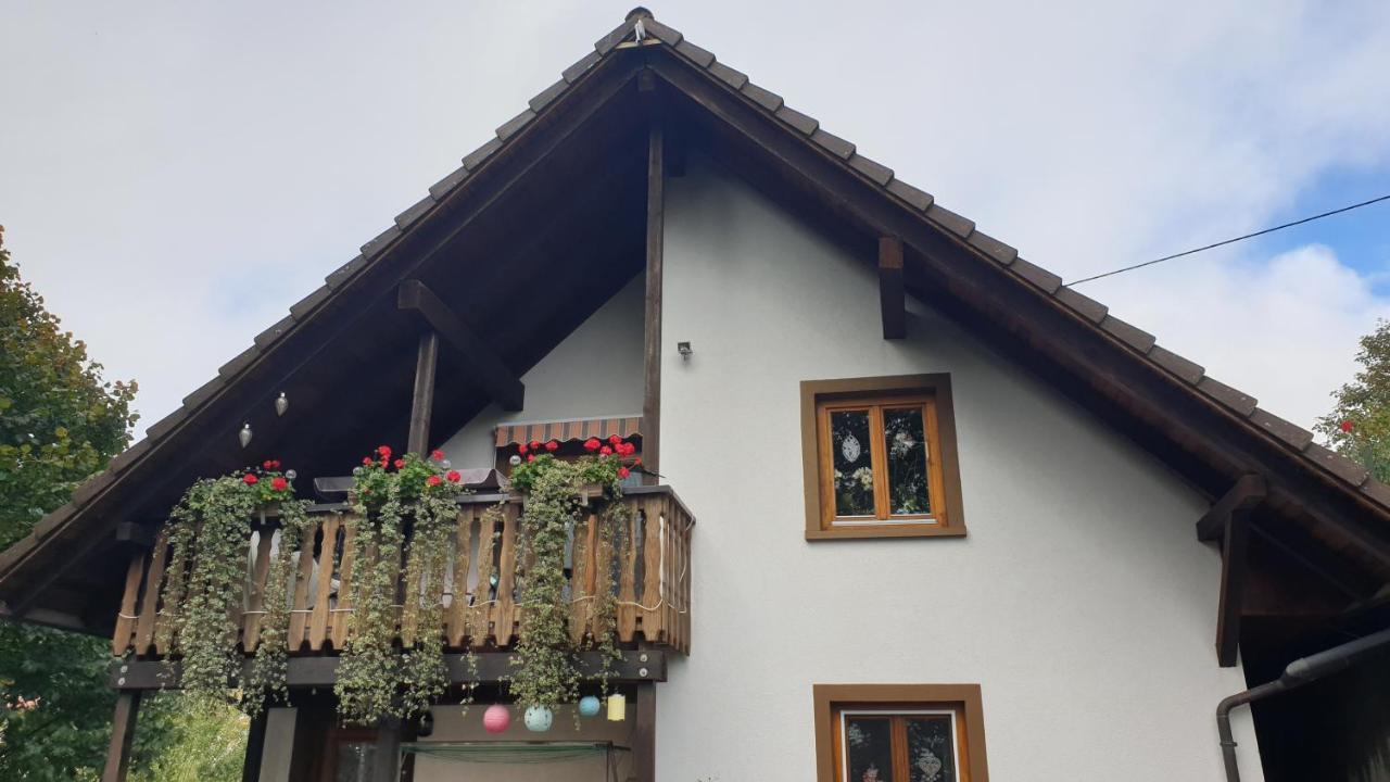 Ferienwohnung Auf Dem Bueckle Kleines Wiesental Eksteriør billede