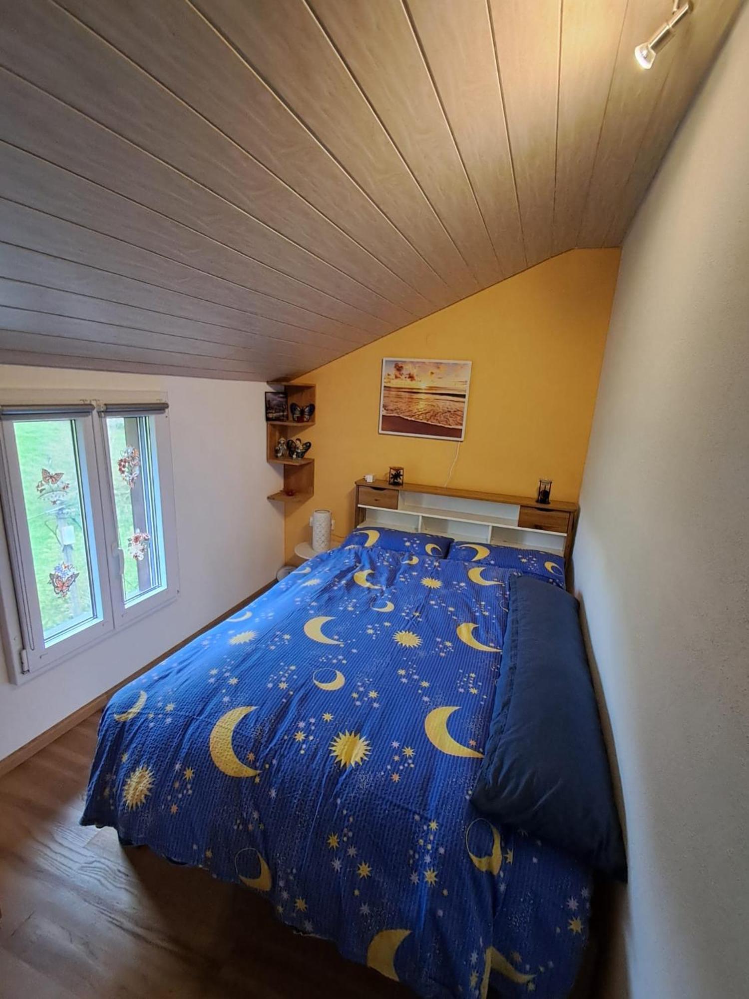 Ferienwohnung Auf Dem Bueckle Kleines Wiesental Eksteriør billede